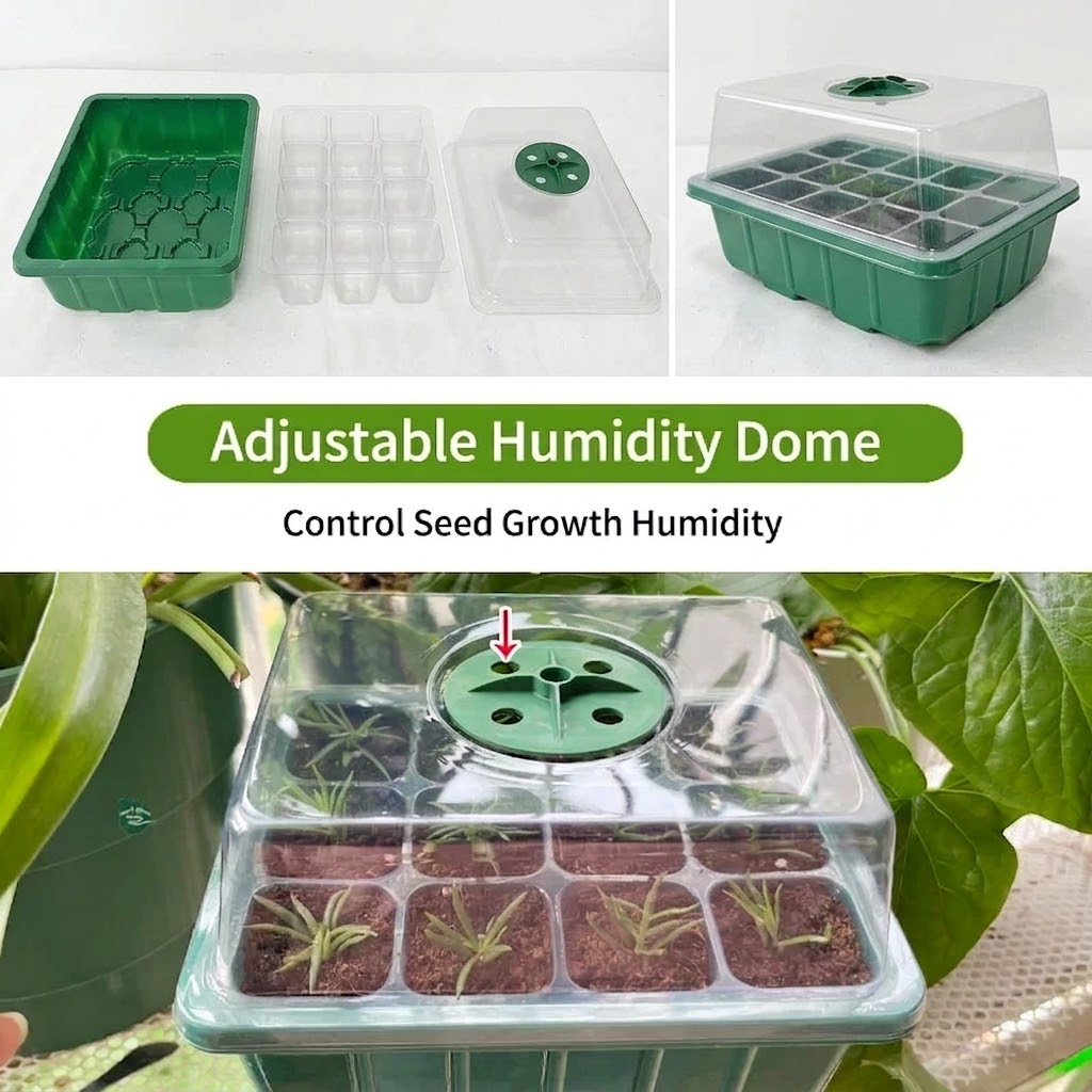 Seed Starter Tray - Kit de Germination avec Éclairage pour
