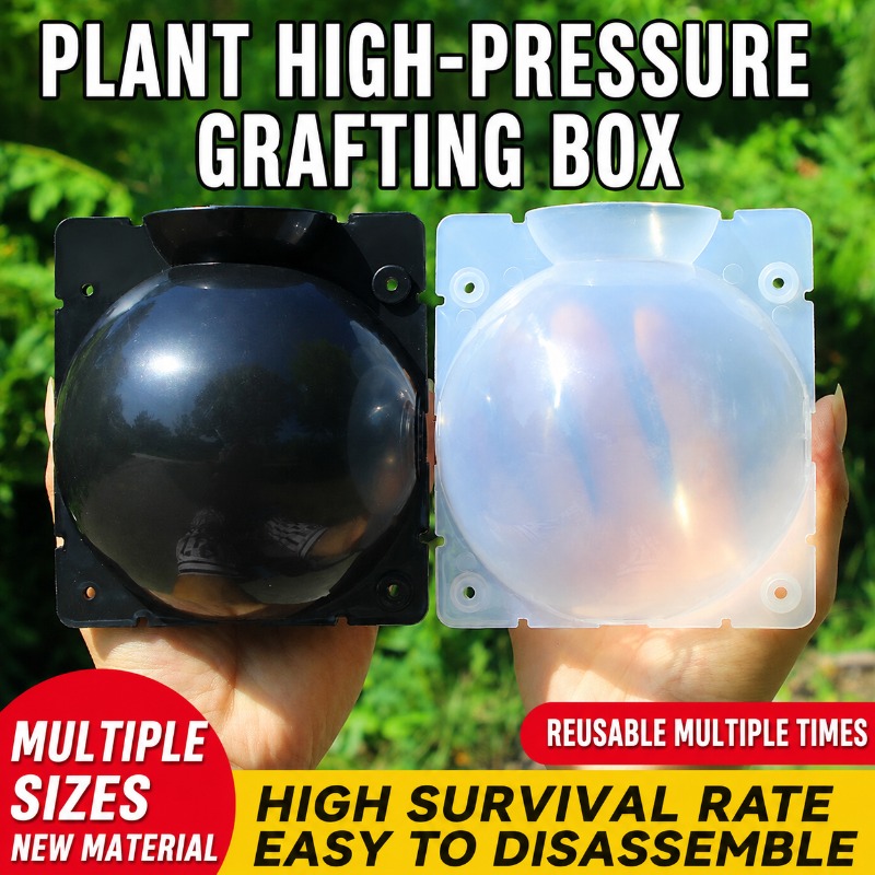 Indoor Herb Garden - Kit de propagation de plantes 10