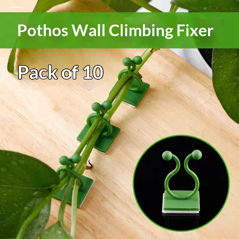 Indoor Herb Garden - Clips de fixation murale auto-adhésifs pour