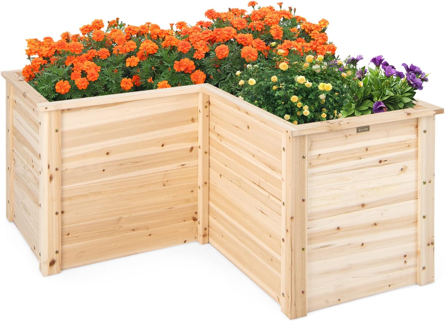 Raised Garden Bed - Bac à légumes surélevé en bois