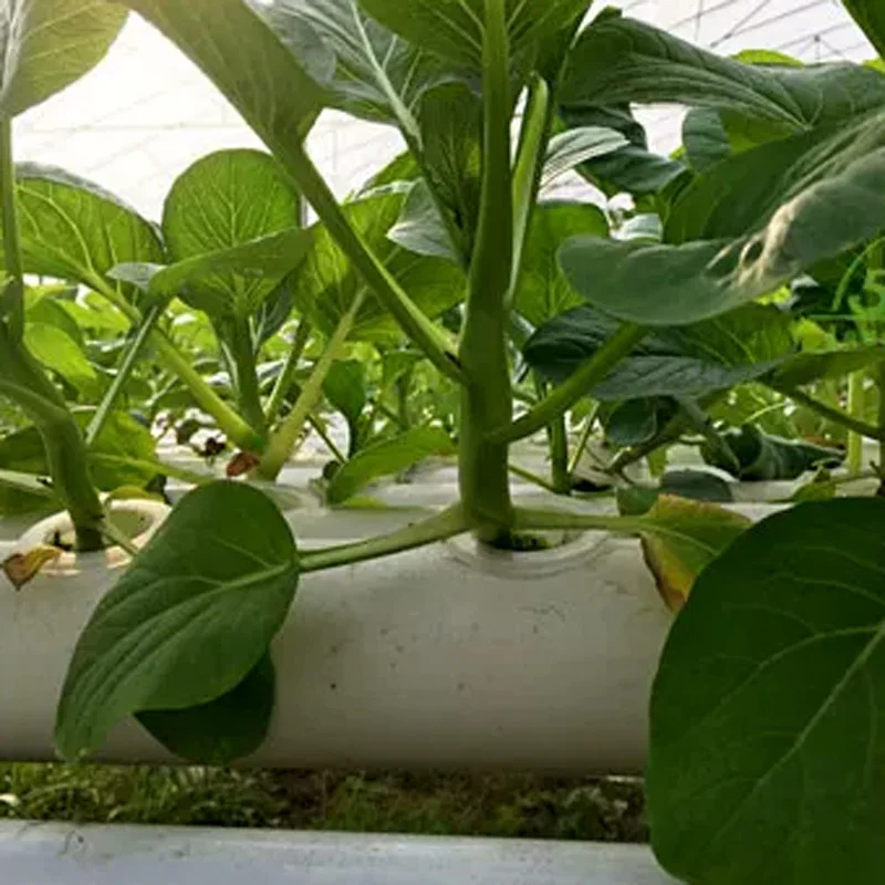 Hydroponic Kit - Kit de système de culture hors-sol,