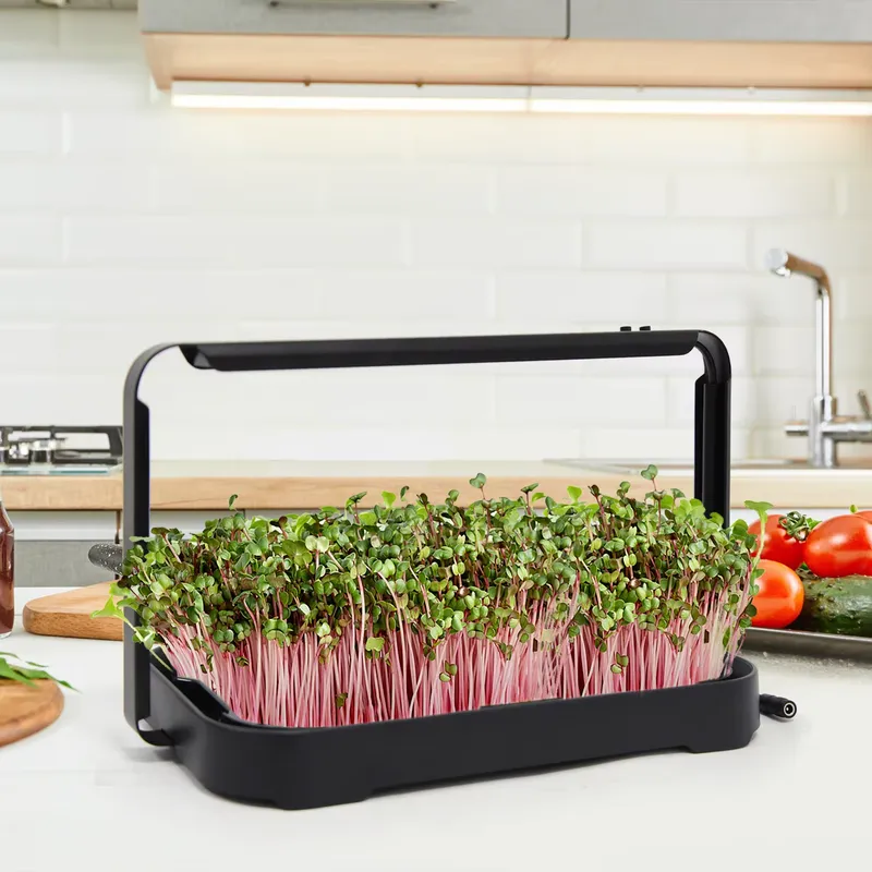 Hydroponic Kit - Bac hydroponique pour micro-légumes d'intérieur, système