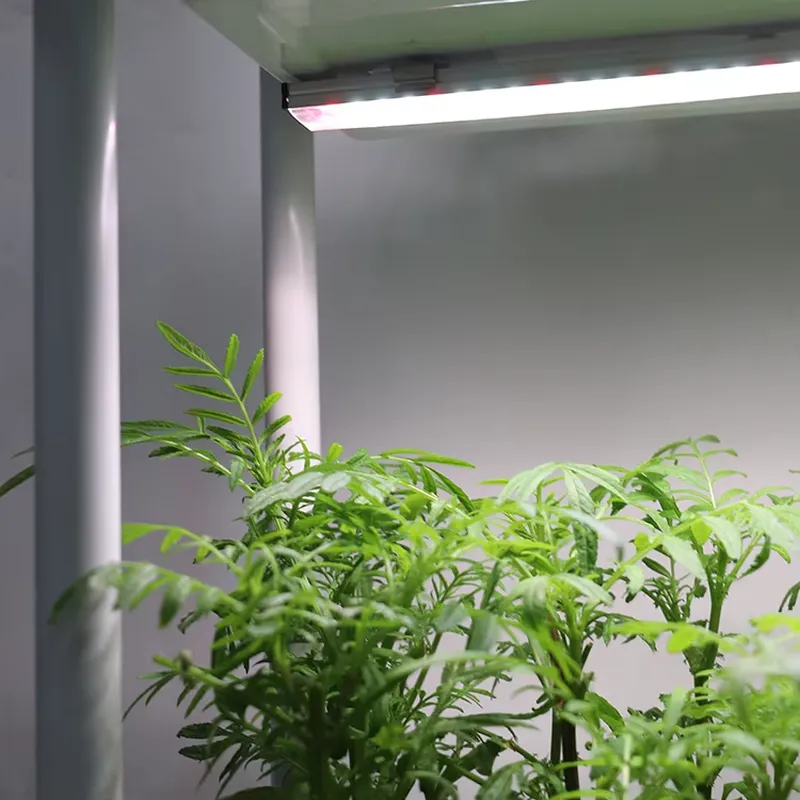 Jardinière intelligente vertic - Indoor Herb Garden avis et prix