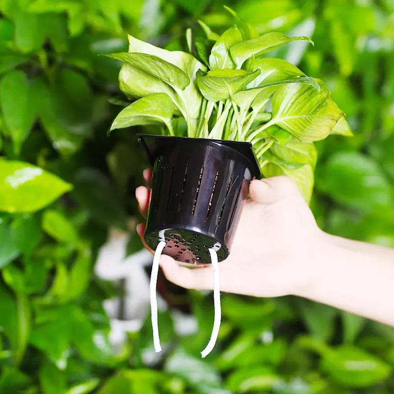 Kit hydroponique d'intérieur 2 - Hydroponic Kit avis et prix