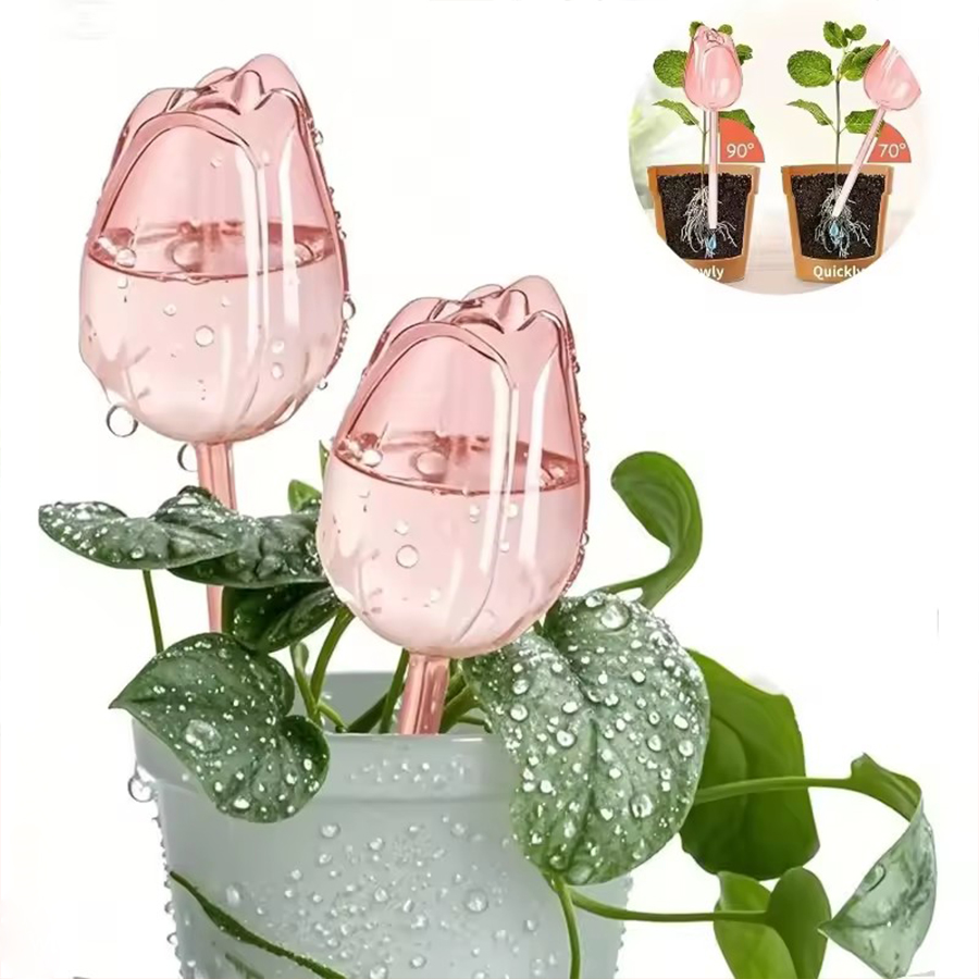 Pique d'arrosage transparente  - Indoor Herb Garden avis et prix
