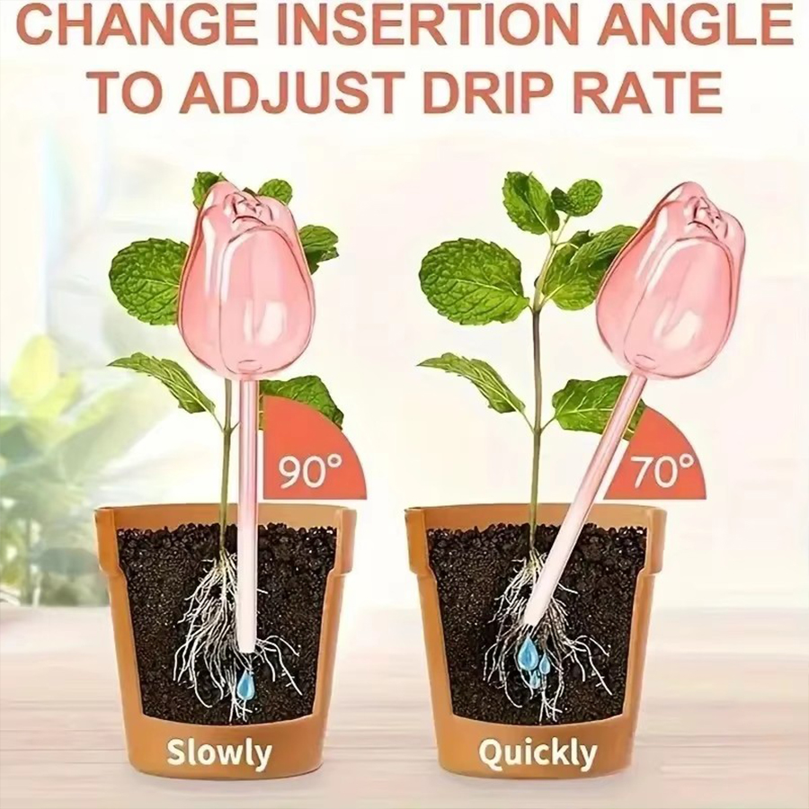 Pique d'arrosage transparente  - Indoor Herb Garden avis et prix