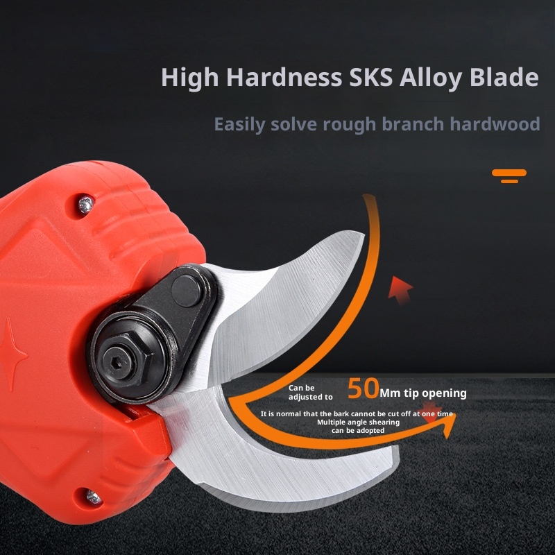 Sécateur électrique étendu Tes - Pruning Shears avis et prix