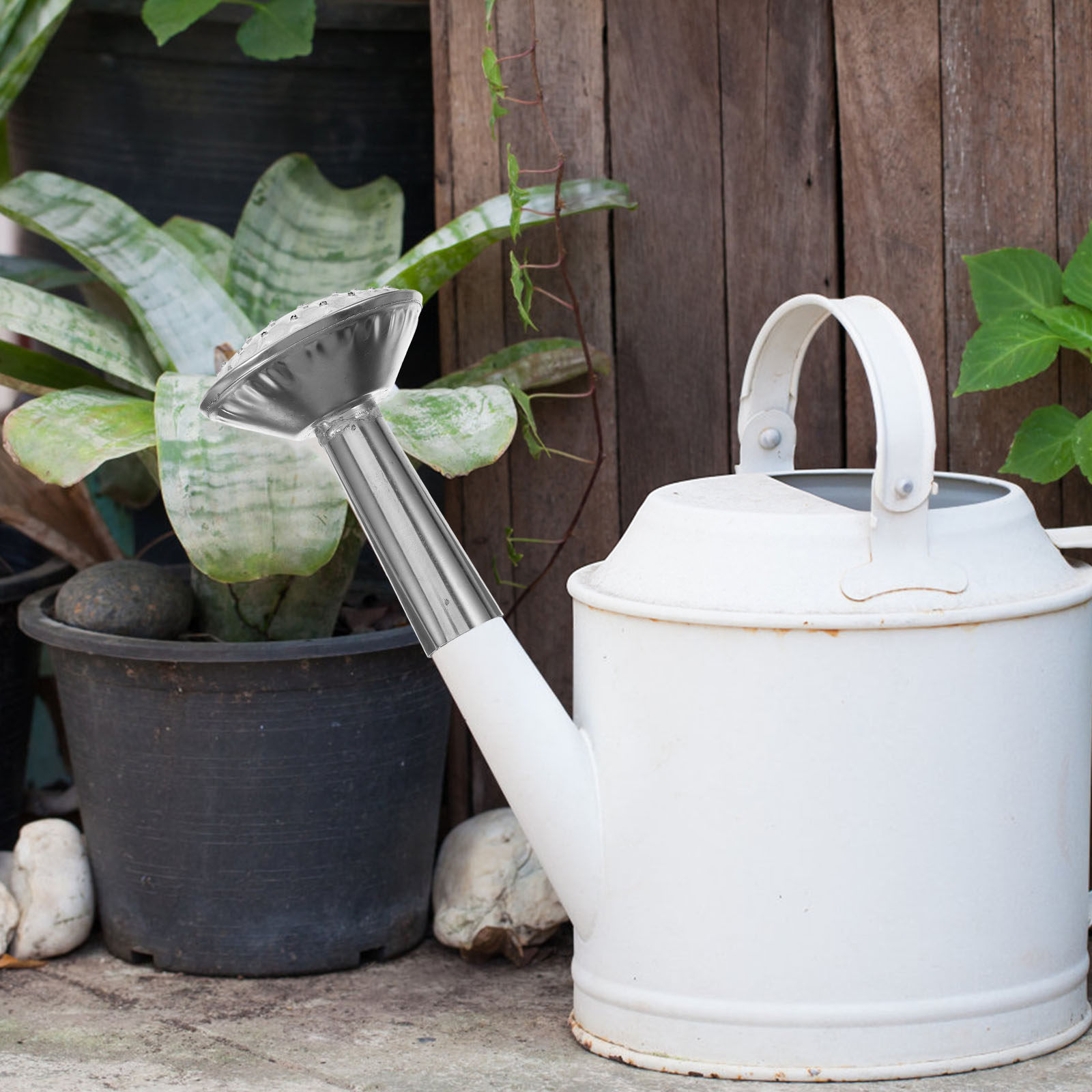 Tête de pulvérisateur pour arr - Watering Can avis et prix