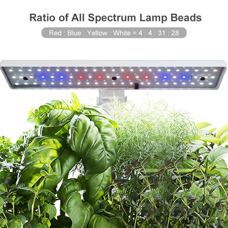 Système de culture hydroponiqu - Hydroponic Kit avis et prix