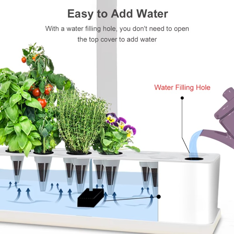 Système de culture hydroponiqu - Hydroponic Kit avis et prix