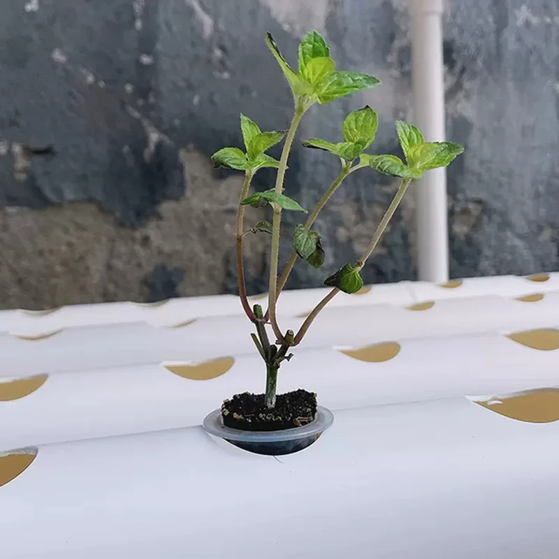 Kit de système de culture hors - Hydroponic Kit avis et prix