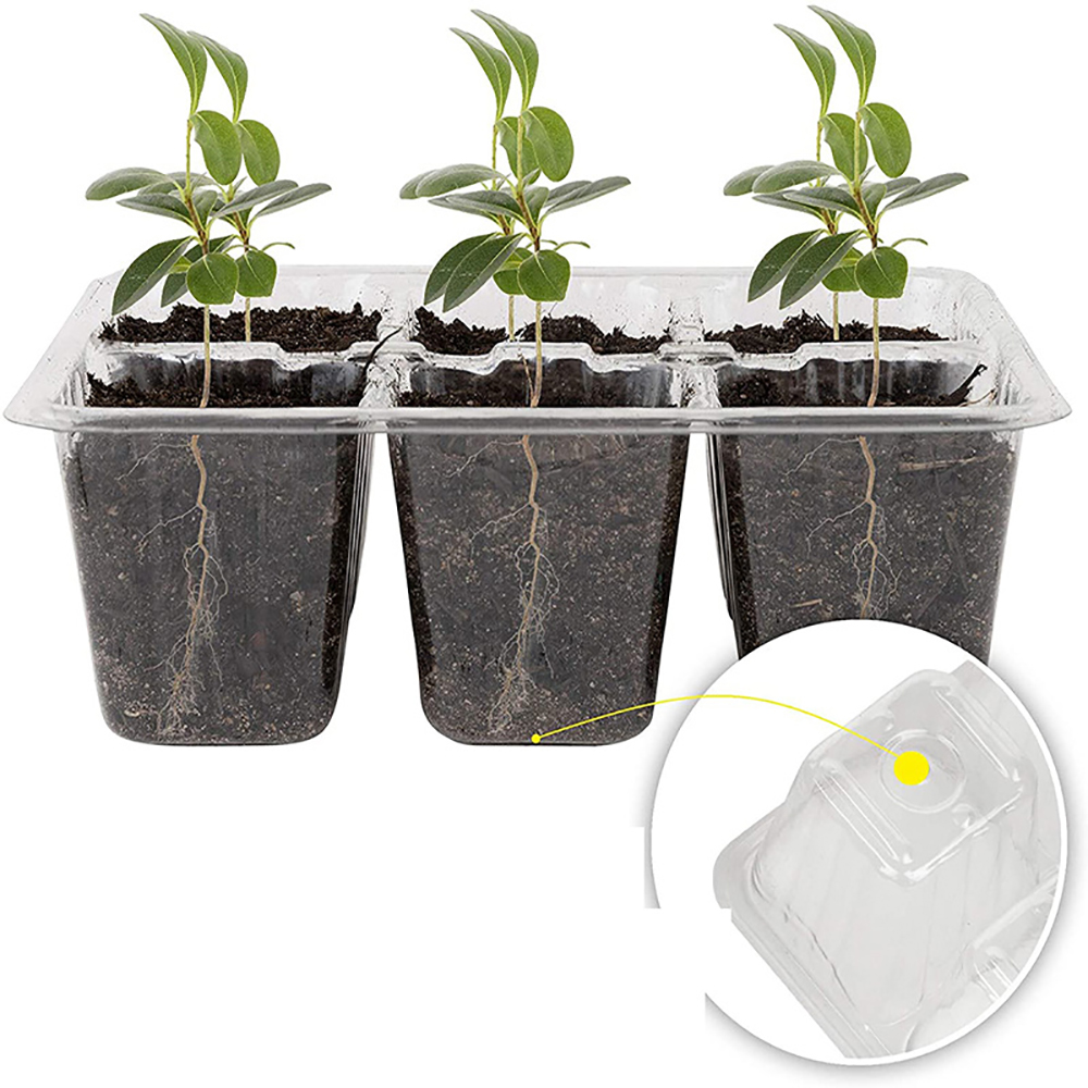 Plateaux de démarrage avec lum - Seed Starter Tray avis et prix
