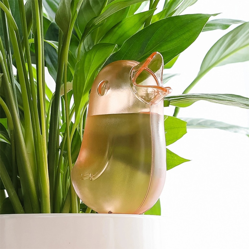 Dispositif d'arrosage automati - Self Watering Planter avis et prix