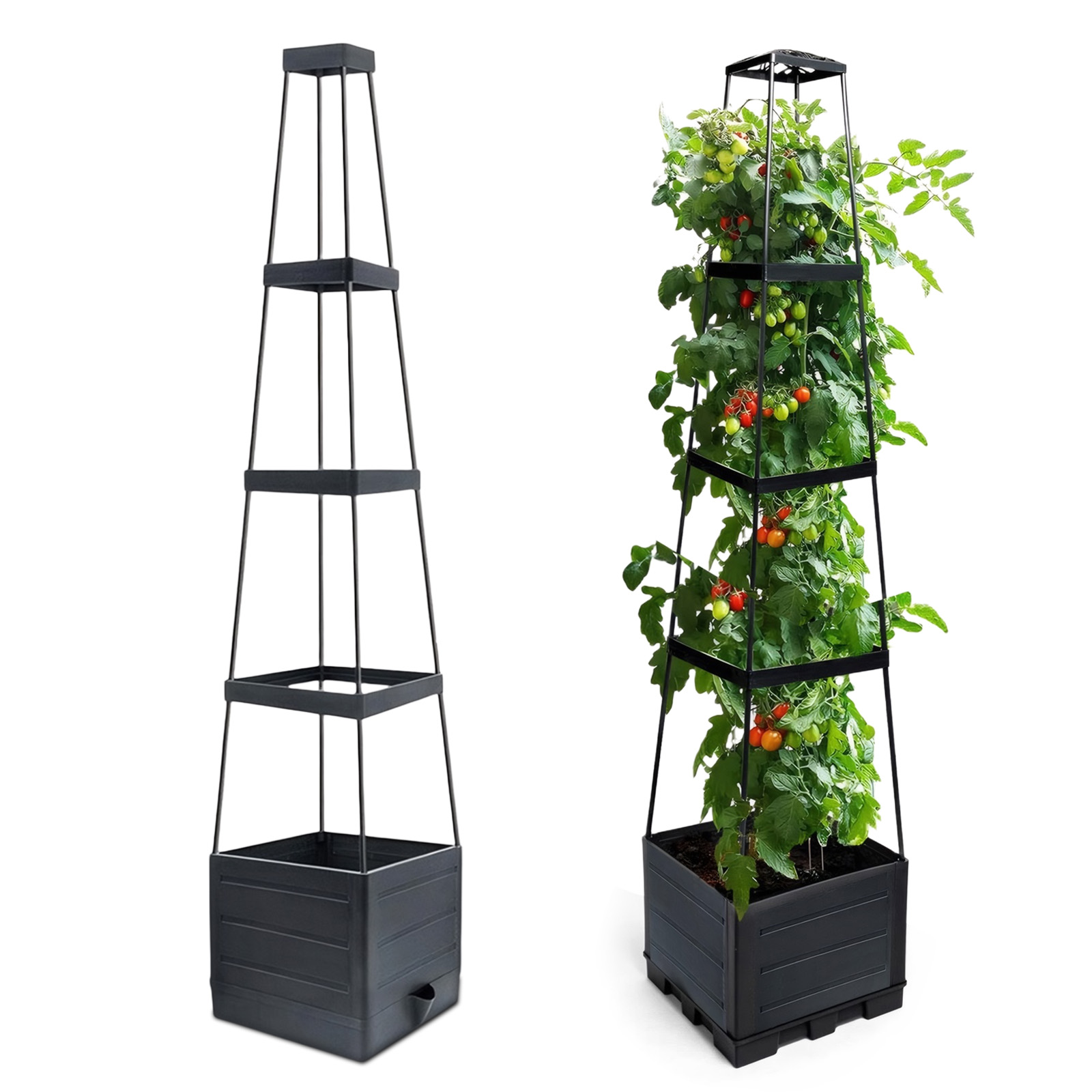 Jardinière surélevée avec trei - Self Watering Planter avis et prix