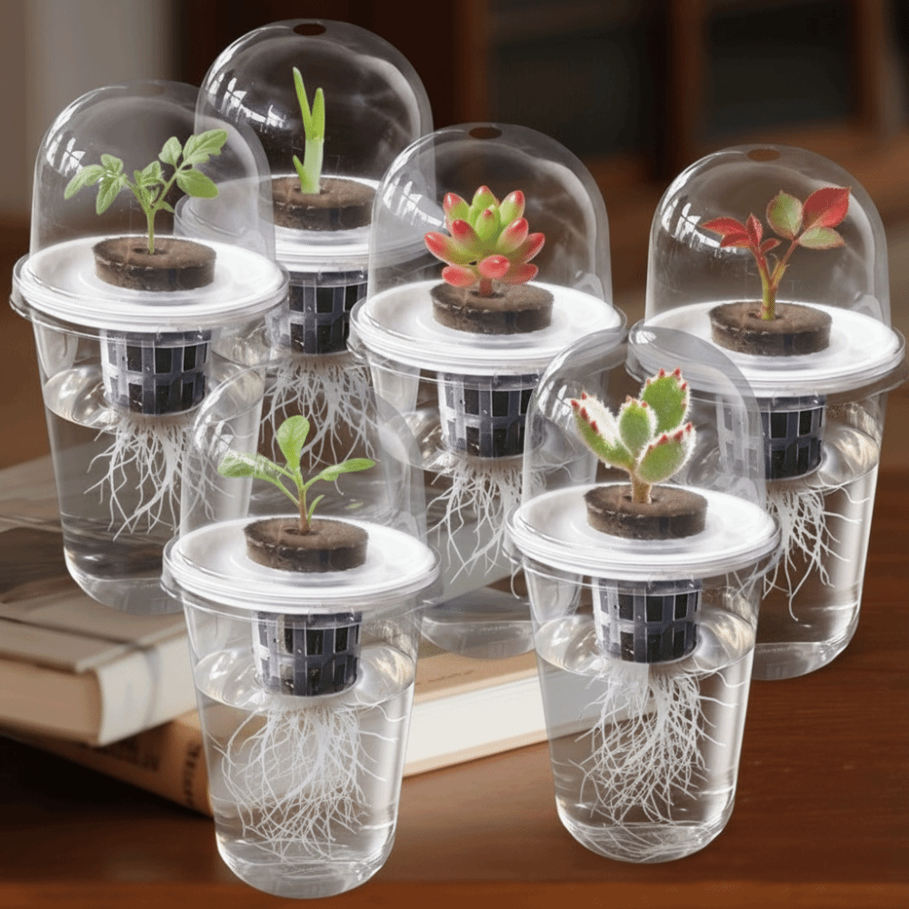 1-5 pièces Gobelets de germina - Seed Starter Tray avis et prix