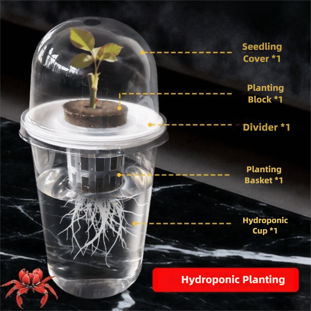 1-5 pièces Gobelets de germina - Seed Starter Tray avis et prix