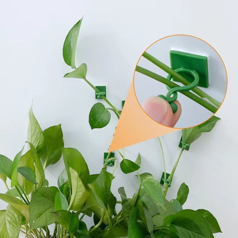 Clips de fixation murale auto- - Indoor Herb Garden avis et prix
