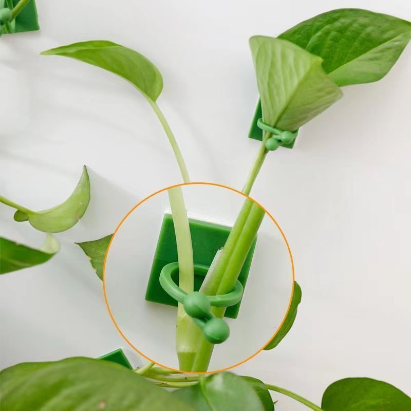 Clips de fixation murale auto- - Indoor Herb Garden avis et prix