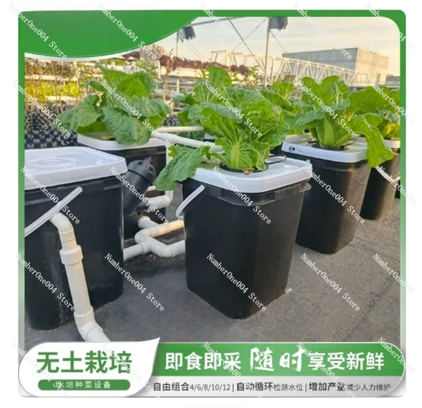 Kit de culture hydroponique po - Hydroponic Kit avis et prix