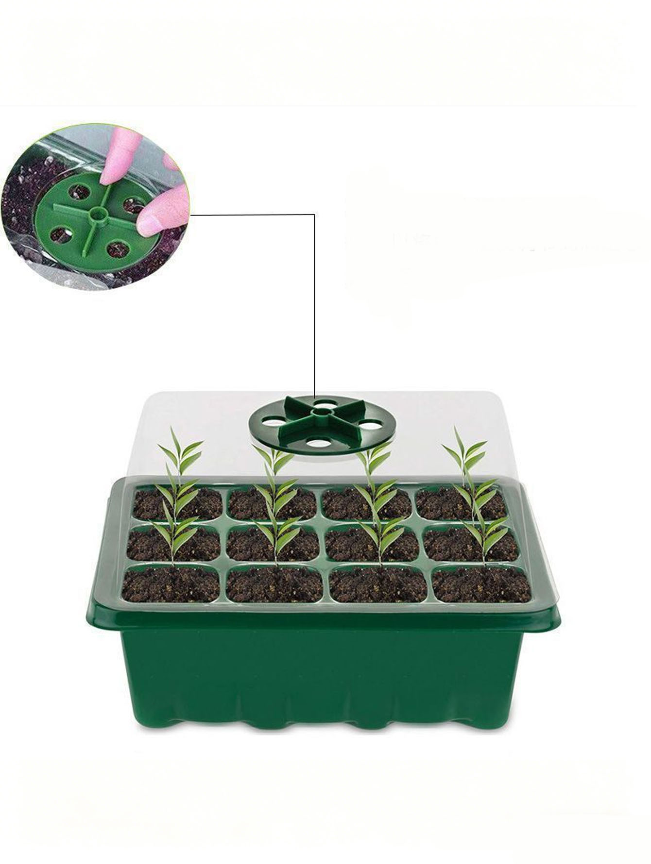 Plateau à semis 6/12 trous, en - Seed Starter Tray avis et prix