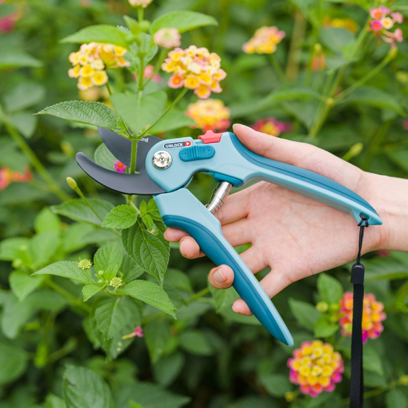 Ciseaux de taille forestière e - Plant Pot avis et prix
