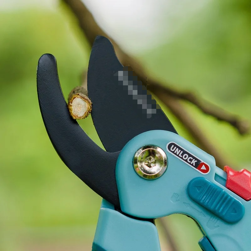 Ciseaux de taille forestière e - Plant Pot avis et prix