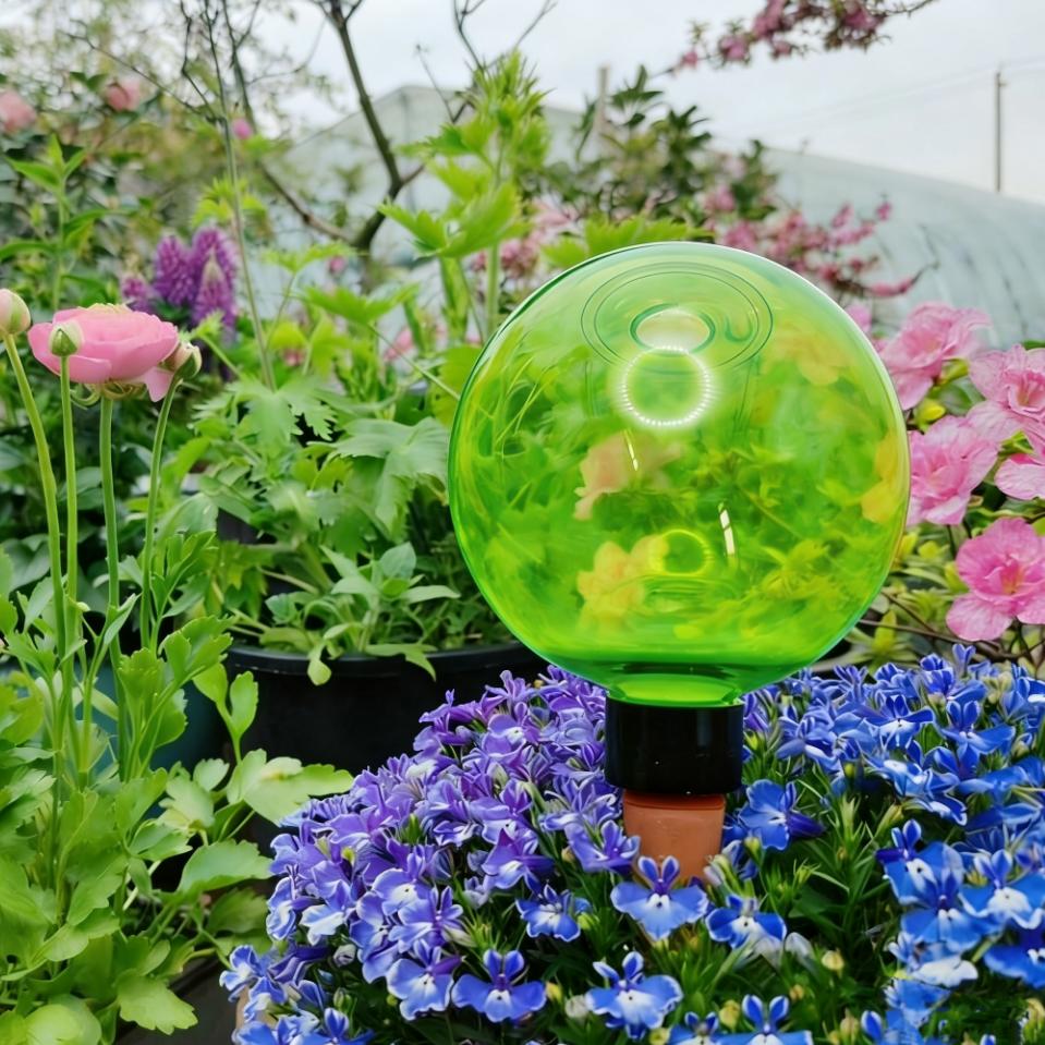 3 globes d'arrosage automatiqu - Self Watering Planter avis et prix