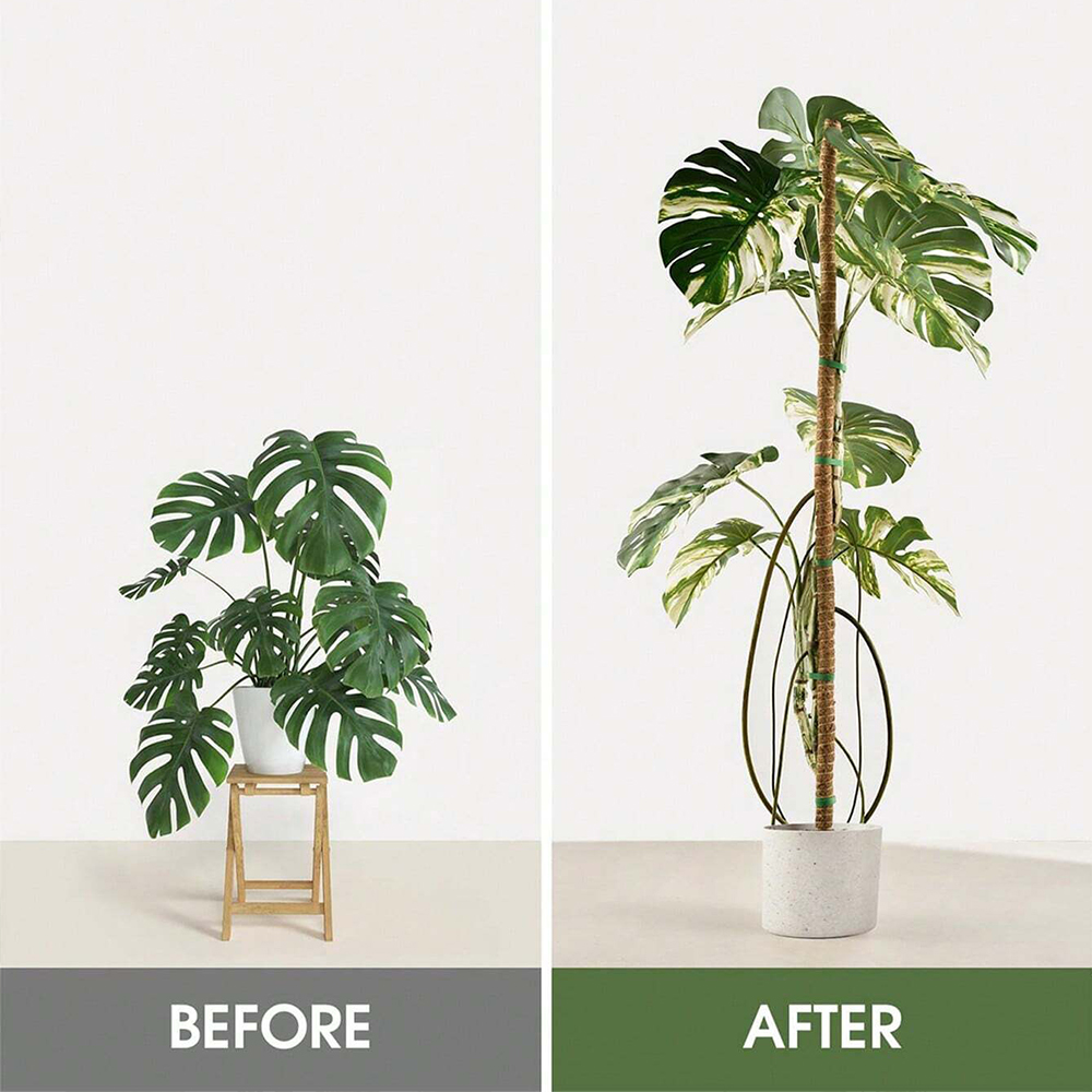 Poteau en mousse pour plantes, - Indoor Herb Garden avis et prix