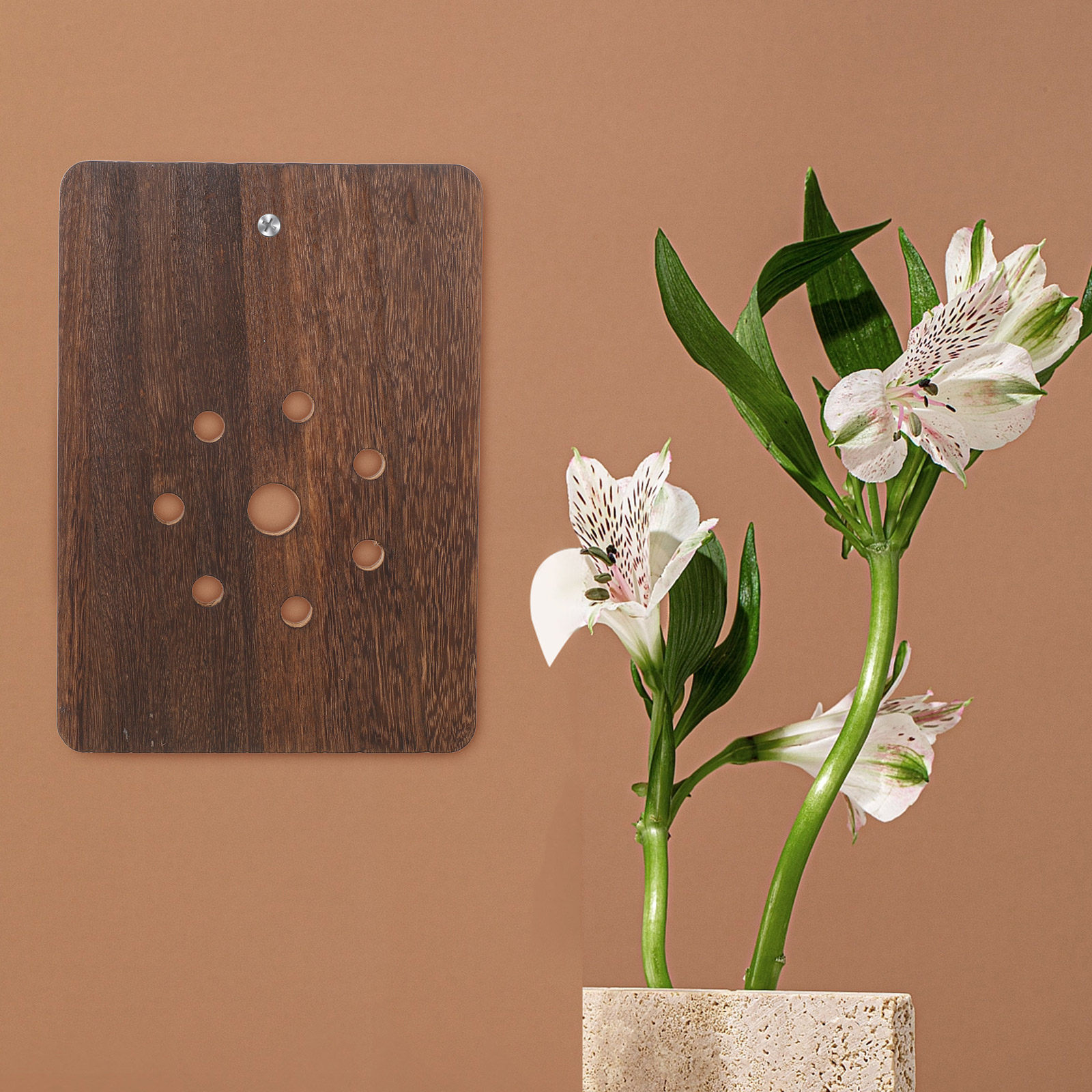 Planche de montage pour fougèr - Vertical Planter avis et prix