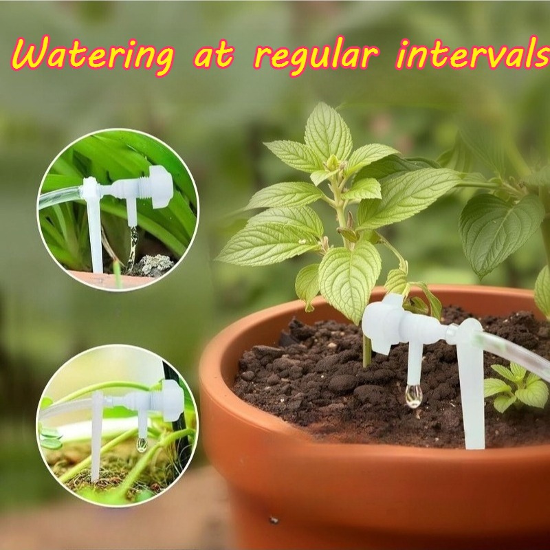 Équipement d'irrigation automa - Watering Can avis et prix