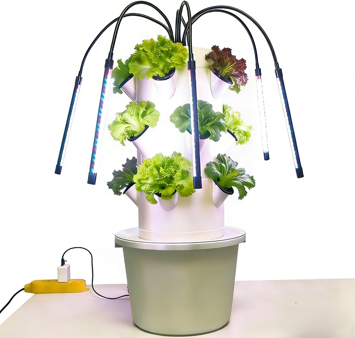 Système de culture hydroponiqu - Hydroponic Kit avis et prix